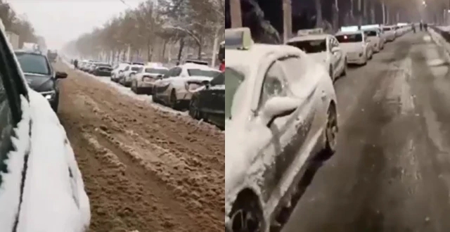 在东北,一场大雪撕下了新能源汽车的遮羞布